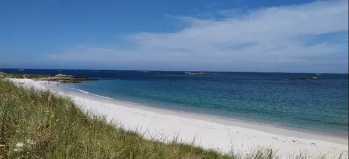 40% des bretons se sentent concernés par la biodiversité