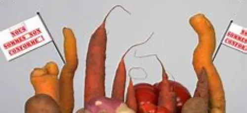 " Foodolofic " s'attaque au gaspillage alimentaire.