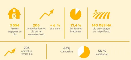 La part des fermes bio progresse en Bretagne