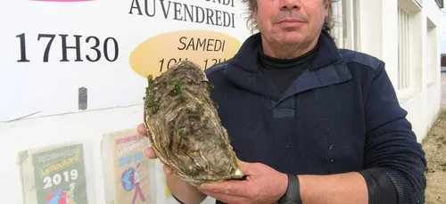 Une huitre géante à Carantec (29).