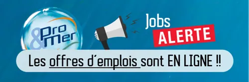 LA FILIERE MER RECRUTE ! PLUS DE 1200 OFFRES D'EMPLOI ET DE...