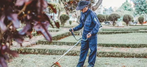 Le secteur du paysage recrute en ce moment !