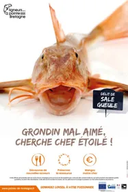 Les ligneurs de la pointe Bretagne veulent relancer la consommation...