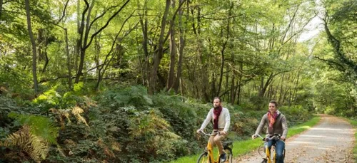 Tourisme 2020 : la région Bretagne tire son épingle du jeu