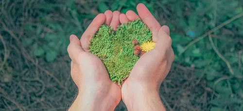 Lancement de la fondation "Breizh Biodiv"