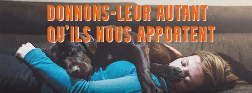 UN ANIMAL N'EST PAS UN JOUET...