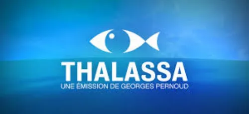 Georges Pernoud, créateur et présentateur de Thalassa est décédé