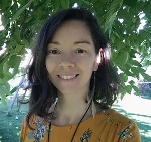 TOUT SAVOIR SUR LE BLUES DES FETES