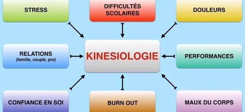 LA KINESIOLOGIE : POUR QUI ? POUR QUOI ?