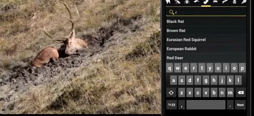 Naturalist : une appli pour observer la faune sauvage !
