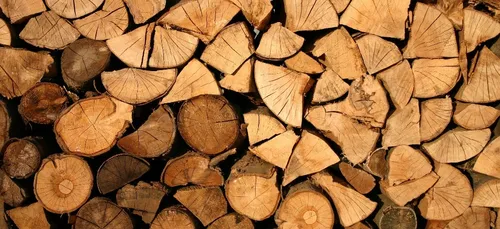 La commune de Plouay se dote de deux chaufferies bois.