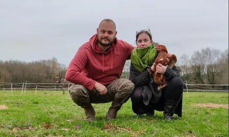 LES POULES EVITENT L'ABATTOIR GRACE AUX CAQUETTEUSES !