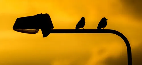 Éclairage public à Saint-Brieuc : extinction des feux plus tôt