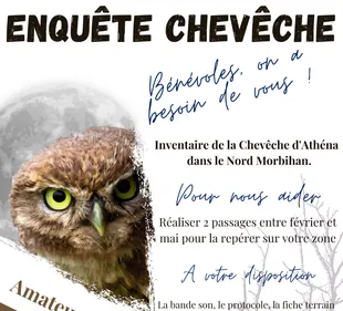 Appelez la chouette, elle vous répondra ! "L'enquête Cheveche", une...