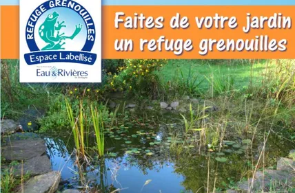 Opération "Refuge grenouille" : une simple mare dans votre jardin...
