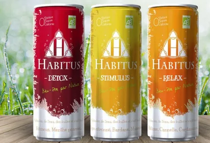 DES PLANTES, DE L'EAU, ET DES BULLES !