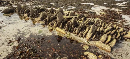 Week-end de grandes marées