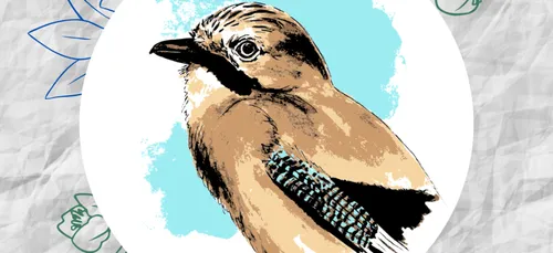 Valika, 25 ans, crée son entreprise pour la nature en Centre...