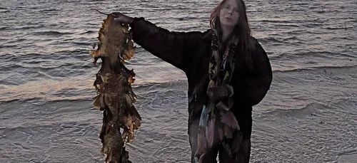 DES ALGUES DANS VOTRE ASSIETTE