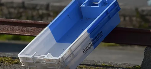 La CCI a publié les chiffres des criées du Finistère pour le mois...