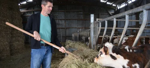 L'Agriculture bio en Bretagne n'a pas ralenti sa progression en...