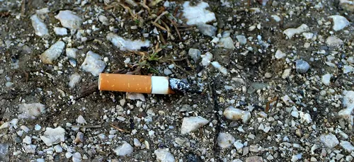 Hier à Rennes 36 600 mégots de cigarettes ramassés en 1h30.