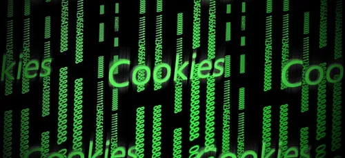 En Français on parle de “traceurs” et en anglais de “cookies”