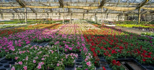 Fusion des établissement agricoles et horticoles publics du Morbihan.