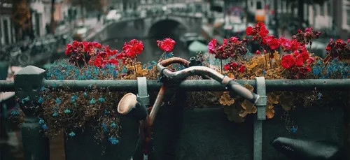 Première édition de l'opération "A vélo au boulot " dans le pays de...