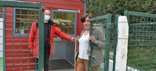 Confinement : les SPA prises d'assaut