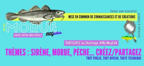 Le challenge #MerMayCod de Concarneau à Dinan