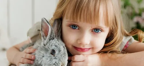 Une nouvelle crèche en projet à Vannes.