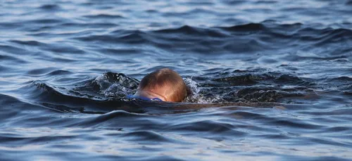 Un nouvel exploit pour Stéphane Krause.