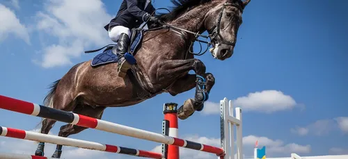 Les cavaliers de retour aux Haras d'Hennebont.