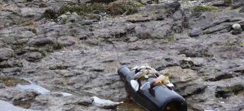 Une bouteille à la mer.