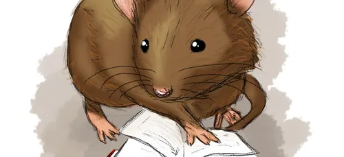 Opération " un livre pour les vacances ".