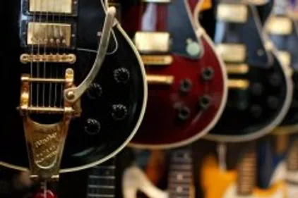 Gibson condamné pour importation illégale de bois d'Ébène