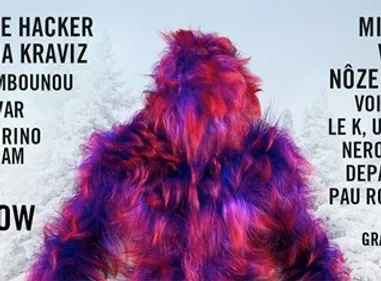 Le festival ElectroSnow est dans La Night !