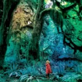 Jacco Gardner - Cabinet of Curiosities