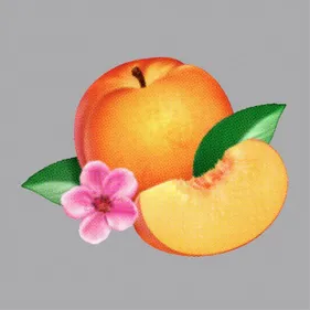 Phoenix : pochette et tracklisting du nouvel album, Bankrupt