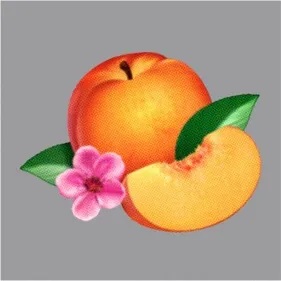 Bankrupt!, le dernier Phoenix, en écoute intégrale