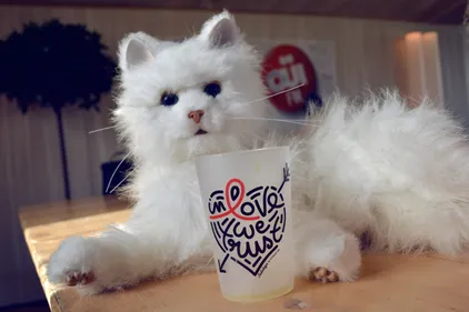 Solidays 2013, jour 3 : les dernières ondes