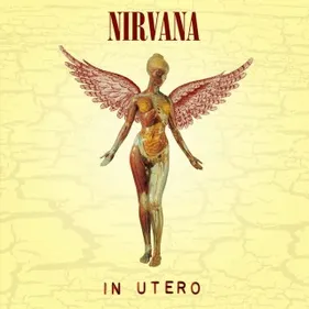 70 inédites pour les 20 ans d'In Utero !