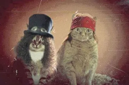 Version chatons : Slash et Axl Rose