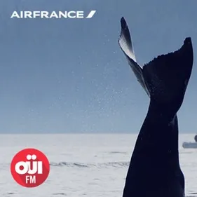 Partez voir les baleines au Canada avec OÜI FM !