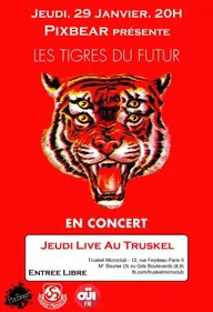 Les Tigres du Futur en live au Truskel, avec OÜI FM