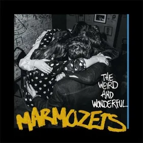 Focus sur Marmozets dans Bring The Noise