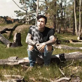 Frnkiero andThe Cellabration dans Bring The Noise