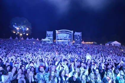 Bilan des festivals de 2015