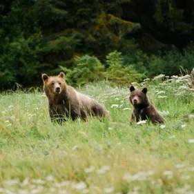 Partez à Vancouver au Canada avec OÜI FM